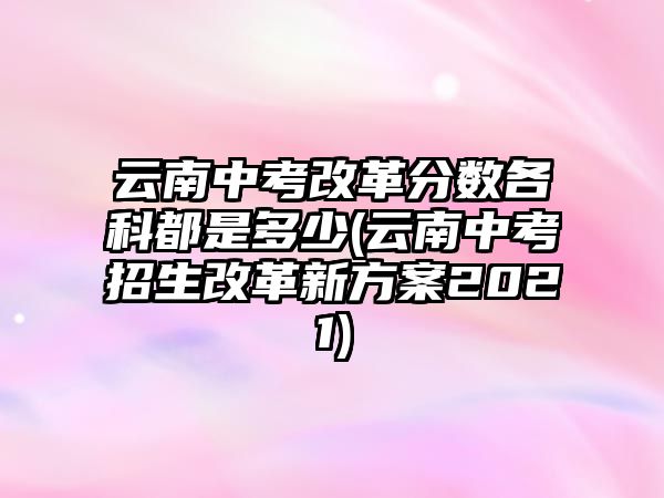 云南中考改革分數(shù)各科都是多少(云南中考招生改革新方案2021)