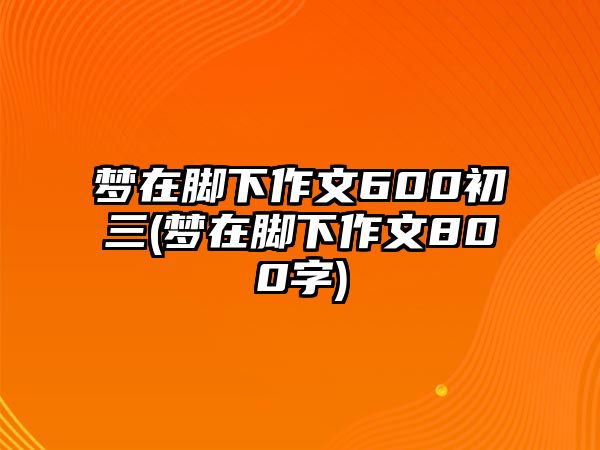 夢(mèng)在腳下作文600初三(夢(mèng)在腳下作文800字)