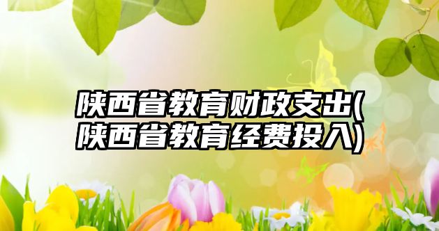 陜西省教育財(cái)政支出(陜西省教育經(jīng)費(fèi)投入)