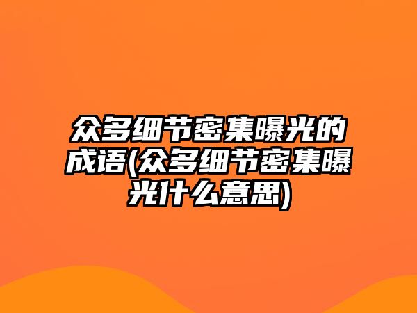 眾多細(xì)節(jié)密集曝光的成語(眾多細(xì)節(jié)密集曝光什么意思)