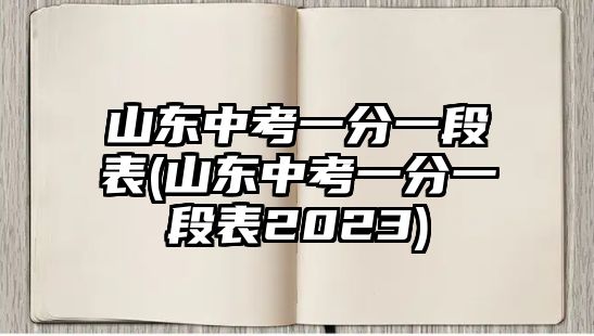 山東中考一分一段表(山東中考一分一段表2023)