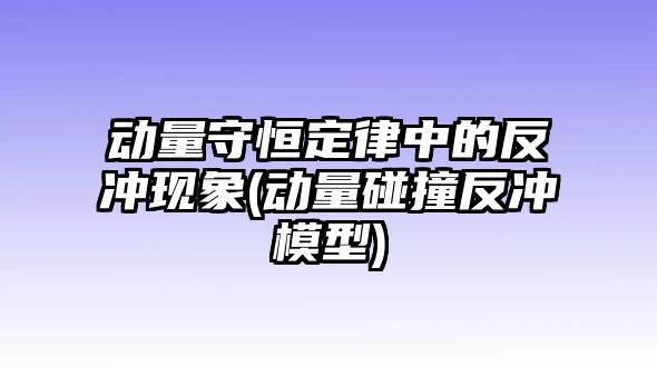 動量守恒定律中的反沖現(xiàn)象(動量碰撞反沖模型)