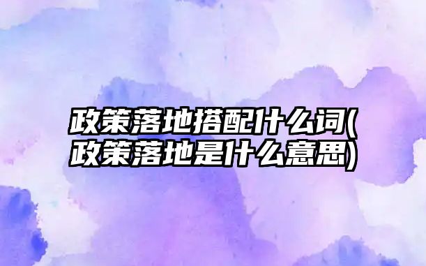 政策落地搭配什么詞(政策落地是什么意思)