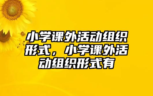 小學課外活動組織形式，小學課外活動組織形式有