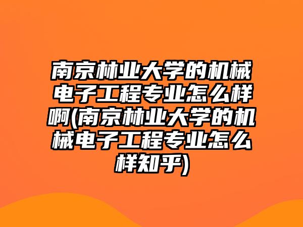 南京林業(yè)大學的機械電子工程專業(yè)怎么樣啊(南京林業(yè)大學的機械電子工程專業(yè)怎么樣知乎)