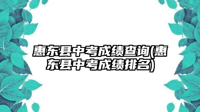 惠東縣中考成績查詢(惠東縣中考成績排名)