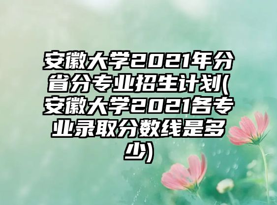 安徽大學(xué)2021年分省分專業(yè)招生計(jì)劃(安徽大學(xué)2021各專業(yè)錄取分?jǐn)?shù)線是多少)