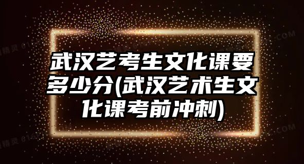 武漢藝考生文化課要多少分(武漢藝術生文化課考前沖刺)