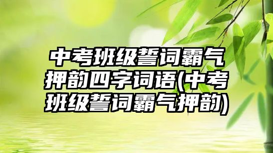 中考班級(jí)誓詞霸氣押韻四字詞語(yǔ)(中考班級(jí)誓詞霸氣押韻)