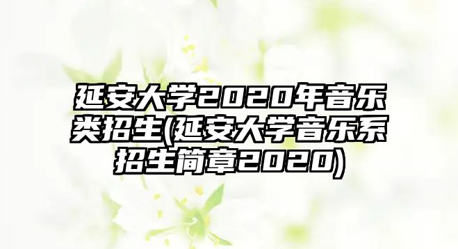 延安大學(xué)2020年音樂類招生(延安大學(xué)音樂系招生簡章2020)