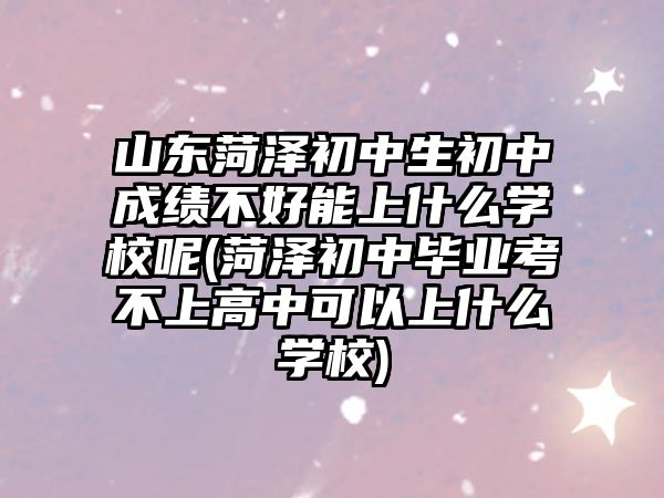 山東菏澤初中生初中成績不好能上什么學(xué)校呢(菏澤初中畢業(yè)考不上高中可以上什么學(xué)校)