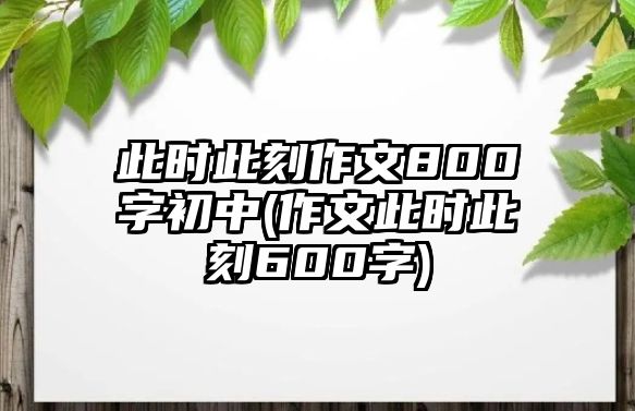 此時此刻作文800字初中(作文此時此刻600字)