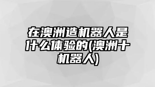 在澳洲造機(jī)器人是什么體驗(yàn)的(澳洲十機(jī)器人)