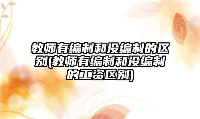 教師有編制和沒編制的區(qū)別(教師有編制和沒編制的工資區(qū)別)