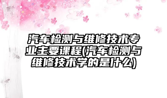 汽車檢測與維修技術專業(yè)主要課程(汽車檢測與維修技術學的是什么)