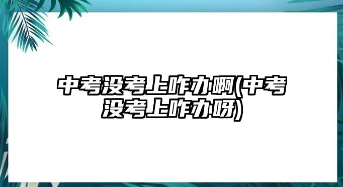 中考沒(méi)考上咋辦啊(中考沒(méi)考上咋辦呀)