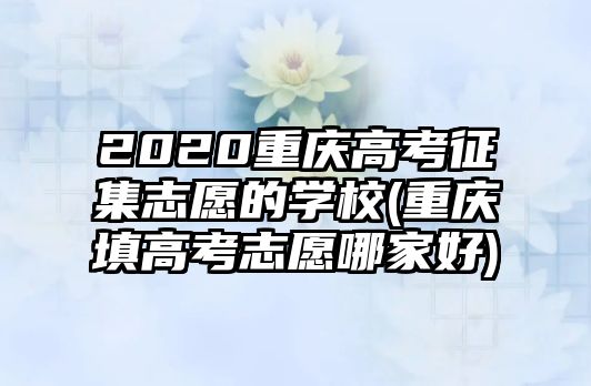 2020重慶高考征集志愿的學(xué)校(重慶填高考志愿哪家好)