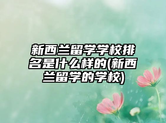 新西蘭留學(xué)學(xué)校排名是什么樣的(新西蘭留學(xué)的學(xué)校)