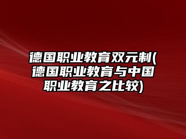 德國職業(yè)教育雙元制(德國職業(yè)教育與中國職業(yè)教育之比較)