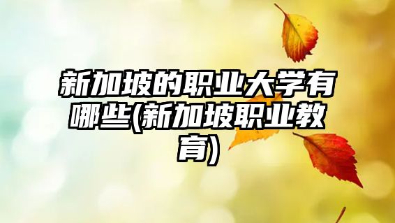 新加坡的職業(yè)大學(xué)有哪些(新加坡職業(yè)教育)