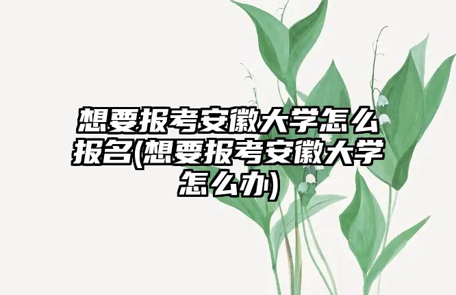 想要報考安徽大學怎么報名(想要報考安徽大學怎么辦)