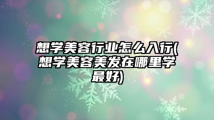 想學美容行業(yè)怎么入行(想學美容美發(fā)在哪里學最好)