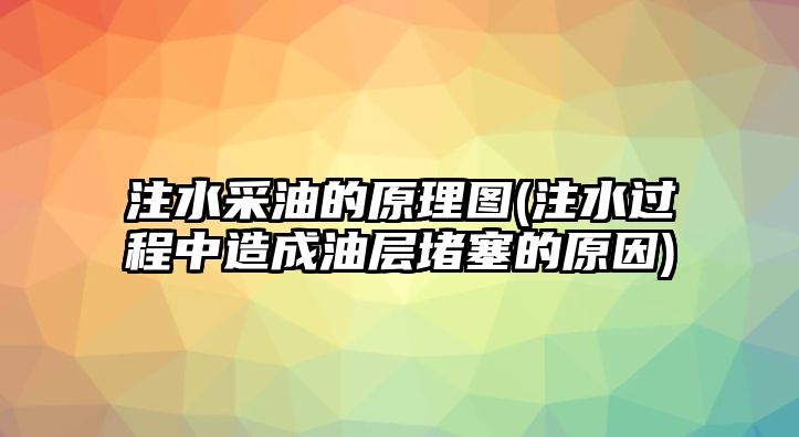 注水采油的原理圖(注水過程中造成油層堵塞的原因)