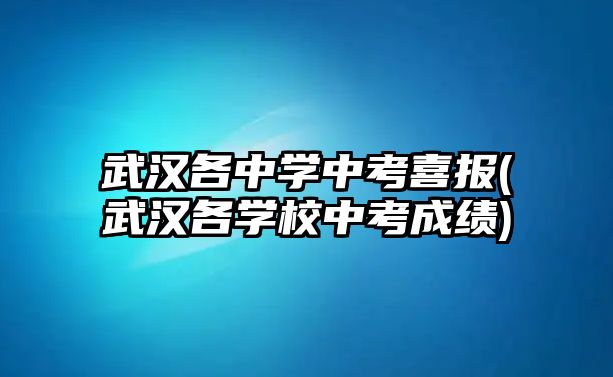 武漢各中學(xué)中考喜報(武漢各學(xué)校中考成績)