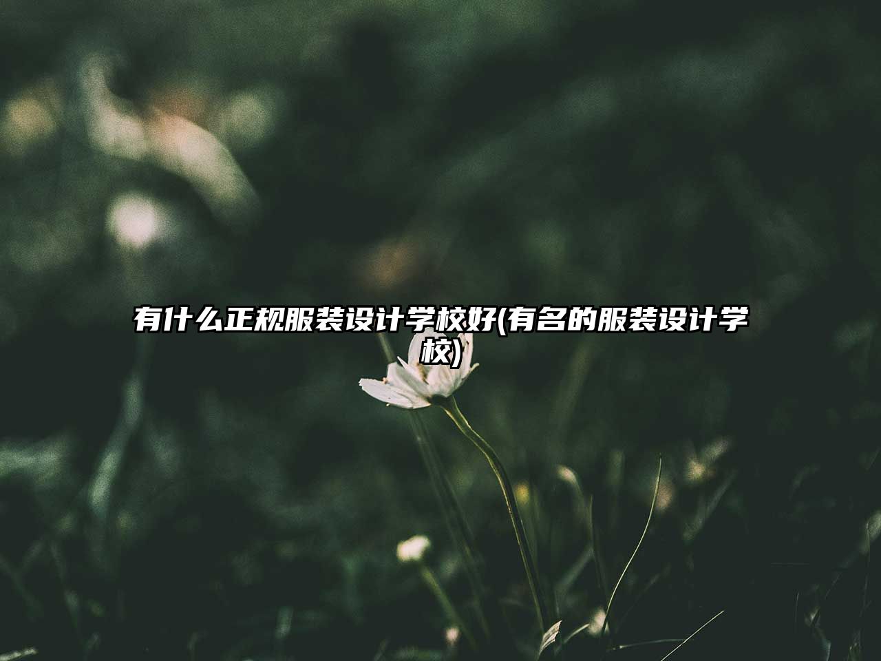 有什么正規(guī)服裝設(shè)計(jì)學(xué)校好(有名的服裝設(shè)計(jì)學(xué)校)