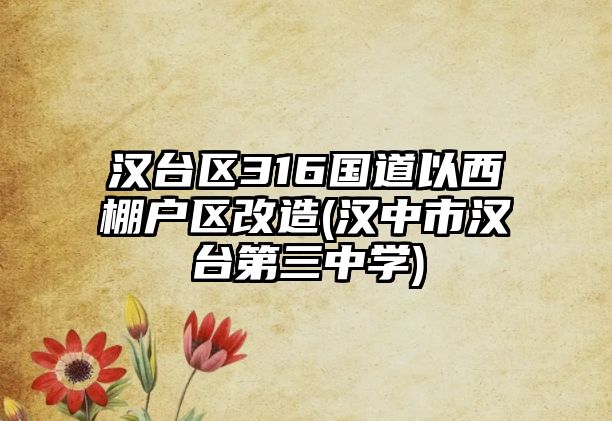 漢臺區(qū)316國道以西棚戶區(qū)改造(漢中市漢臺第三中學(xué))