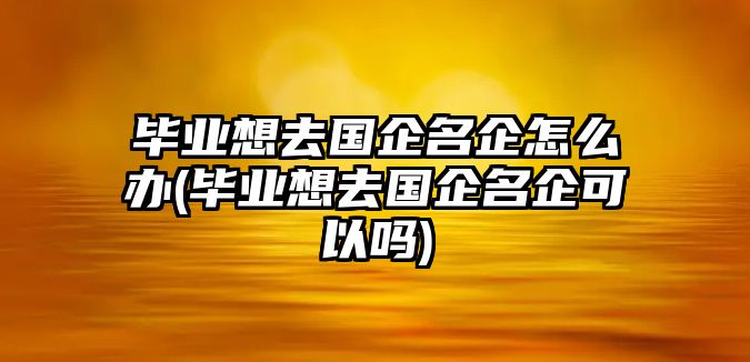 畢業(yè)想去國(guó)企名企怎么辦(畢業(yè)想去國(guó)企名企可以嗎)