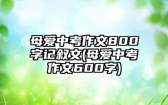 母愛(ài)中考作文800字記敘文(母愛(ài)中考作文600字)