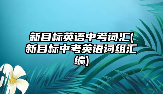 新目標英語中考詞匯(新目標中考英語詞組匯編)