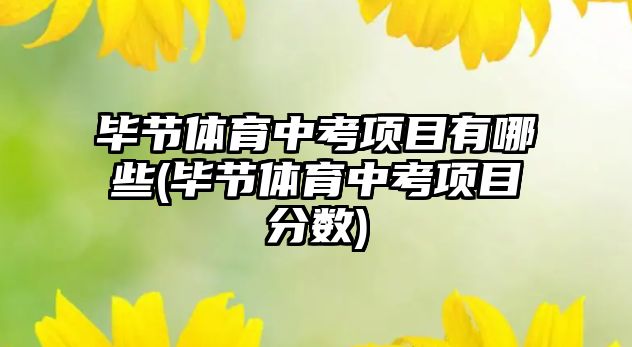 畢節(jié)體育中考項目有哪些(畢節(jié)體育中考項目分?jǐn)?shù))