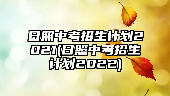 日照中考招生計(jì)劃2021(日照中考招生計(jì)劃2022)