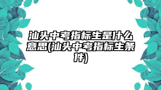 汕頭中考指標(biāo)生是什么意思(汕頭中考指標(biāo)生條件)