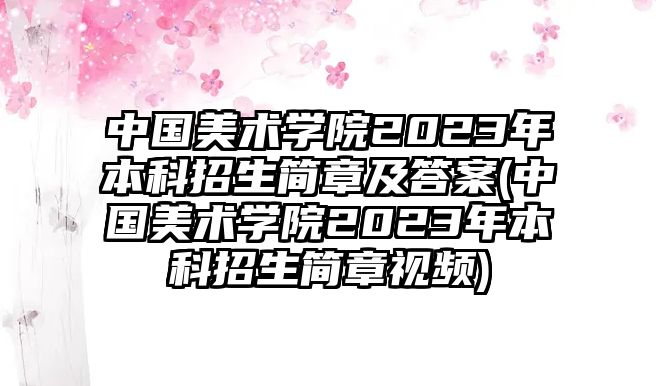 中國美術學院2023年本科招生簡章及答案(中國美術學院2023年本科招生簡章視頻)