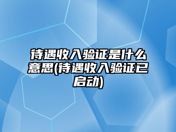 待遇收入驗(yàn)證是什么意思(待遇收入驗(yàn)證已啟動)