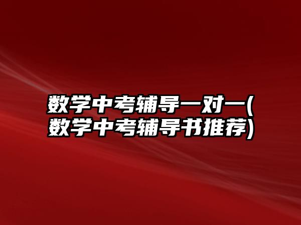 數(shù)學(xué)中考輔導(dǎo)一對(duì)一(數(shù)學(xué)中考輔導(dǎo)書(shū)推薦)