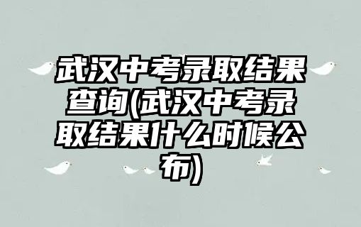 武漢中考錄取結(jié)果查詢(武漢中考錄取結(jié)果什么時(shí)候公布)