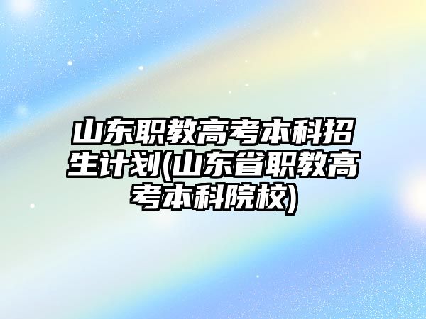 山東職教高考本科招生計(jì)劃(山東省職教高考本科院校)