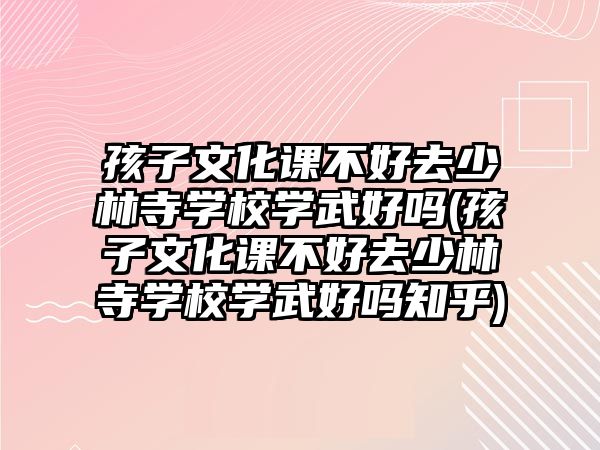 孩子文化課不好去少林寺學(xué)校學(xué)武好嗎(孩子文化課不好去少林寺學(xué)校學(xué)武好嗎知乎)