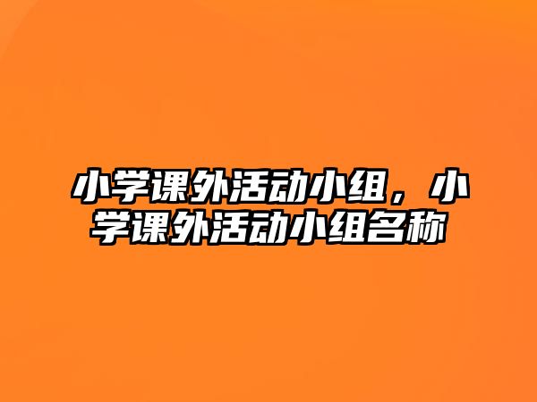 小學課外活動小組，小學課外活動小組名稱