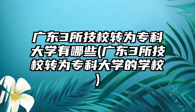 廣東3所技校轉(zhuǎn)為專科大學有哪些(廣東3所技校轉(zhuǎn)為專科大學的學校)