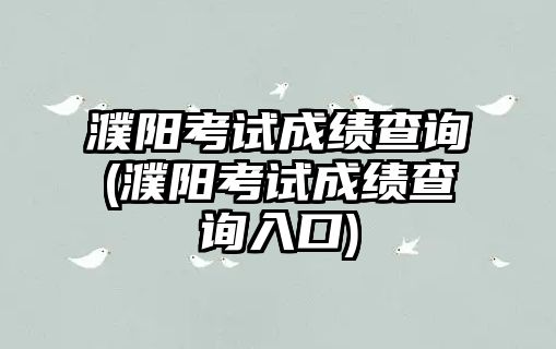 濮陽考試成績查詢(濮陽考試成績查詢?nèi)肟?