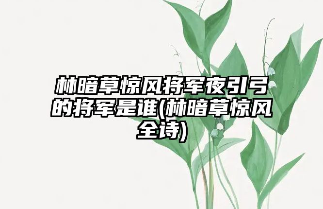 林暗草驚風將軍夜引弓的將軍是誰(林暗草驚風全詩)