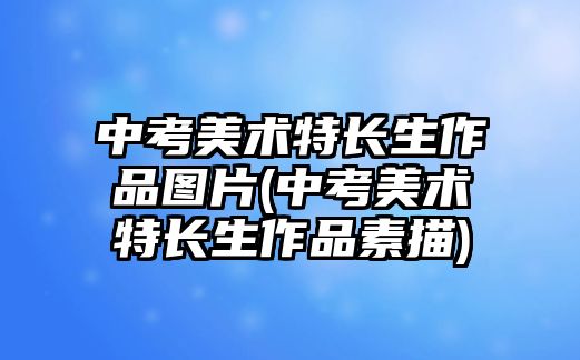 中考美術(shù)特長(zhǎng)生作品圖片(中考美術(shù)特長(zhǎng)生作品素描)