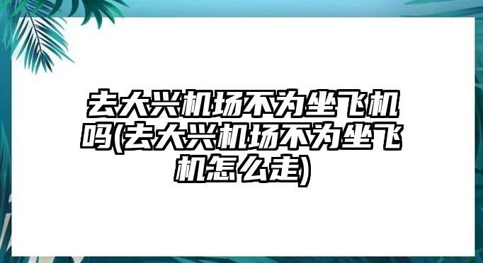 去大興機場不為坐飛機嗎(去大興機場不為坐飛機怎么走)