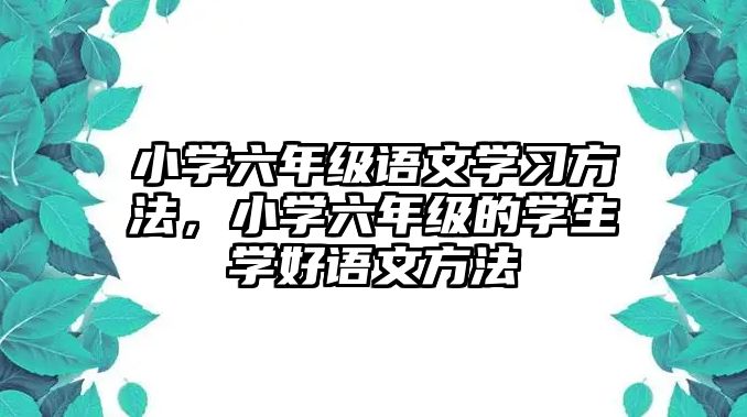 小學六年級語文學習方法，小學六年級的學生學好語文方法