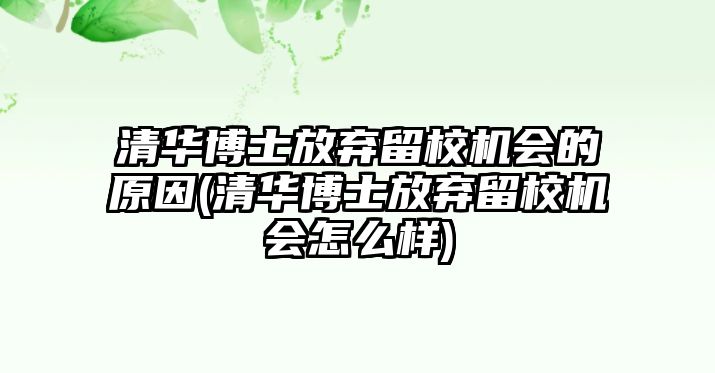 清華博士放棄留校機(jī)會的原因(清華博士放棄留校機(jī)會怎么樣)